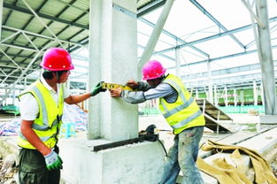 白云農(nóng)創(chuàng)共享農(nóng)副產(chǎn)品批發(fā)中心預(yù)計年底投用，建筑施工進(jìn)展順利